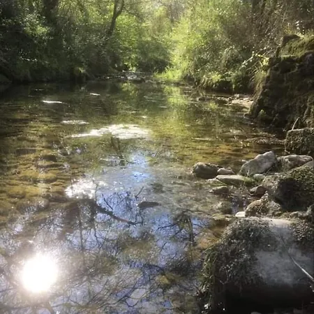 Vakantiehuis Niet Te Huur